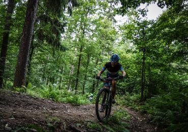 Zdjęcia Aleksandry Sulikowskiej z roku 2019