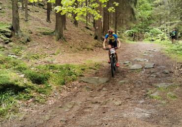 Zdjęcia Andrzeja Maszczyńskiego z roku 2021