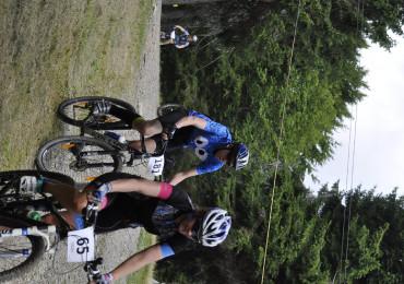 Zdjęcia Elżbiety Cirockiej z roku 2019